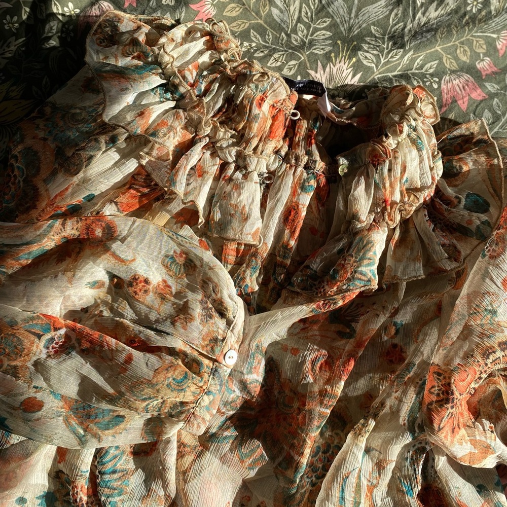 Zara Sheer Floral Ruffle Blouse - Picture 3 of 16